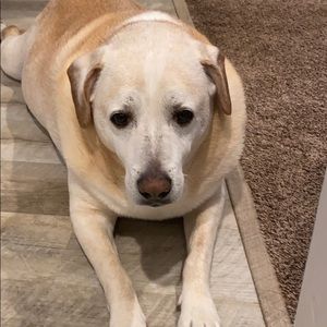 Meet your Posher, Colleen